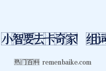 小智要去卡奇家!组词是什么意思的图片